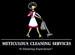 Meticulous Cleaning Services